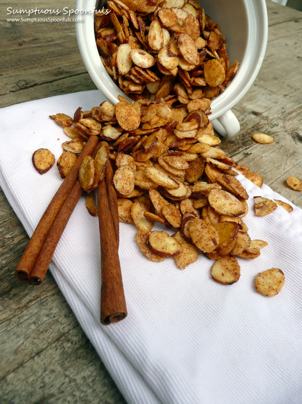 Sugar & Spice Almond Slices ~ Sumptuous Spoonfuls #almond #recipe