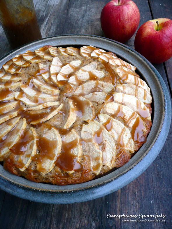 Apple Cake with Coconut Caramel Drizzle ~ Sumptuous Spoonfuls #apple #cake #recipe