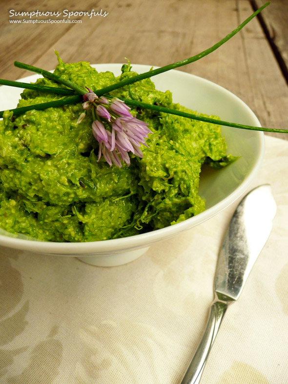 Chive Asparagus Pesto ~ Sumptuous Spoonfuls #pesto #recipe