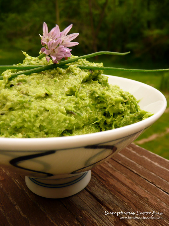 Chive Asparagus Pesto ~ Sumptuous Spoonfuls #pesto #recipe