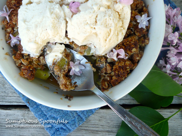 Lilac Rhubarb Crisp for Two ~ Sumptuous Spoonfuls #rhubarb #recipe