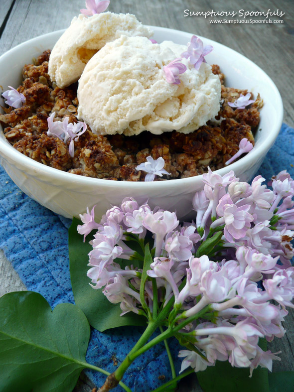 Lilac Rhubarb Crisp for Two ~ Sumptuous Spoonfuls #rhubarb #recipe