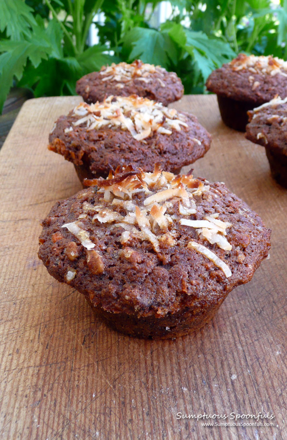 Morning Glory Muffins ~ Sumptuous Spoonfuls #healthy #muffin #recipe