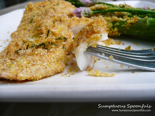 Parmesan Tarragon Chive Crusted Fish ~ Sumptuous Spoonfuls #Fish #Recipe