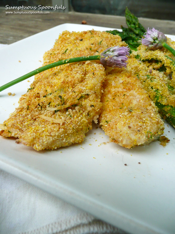 Parmesan Tarragon Chive Crusted Fish ~ Sumptuous Spoonfuls #Fish #Recipe