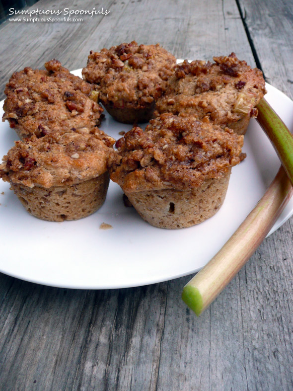 Rhubarb Yogurt Streusel Muffins ~ Sumptuous Spoonfuls #rhubarb #muffin #recipe