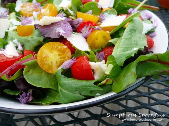 Tomato Asiago Garden Salad