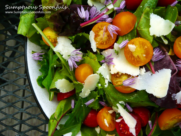 Tomato Asiago Garden Salad w Fresh Herb Cucumber Dressing ~ Sumptuous Spoonfuls #salad #recipe