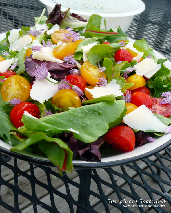 Tomato Asiago Garden Salad w Fresh Herb Cucumber Dressing ~ Sumptuous Spoonfuls #salad #recipe