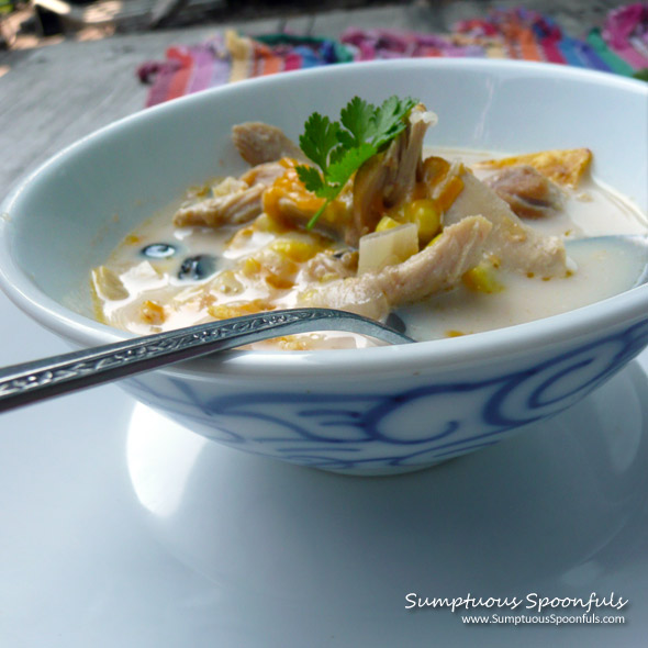 Creamy Chicken Tortilla Soup ~ Sumptuous Spoonfuls #soup #recipe