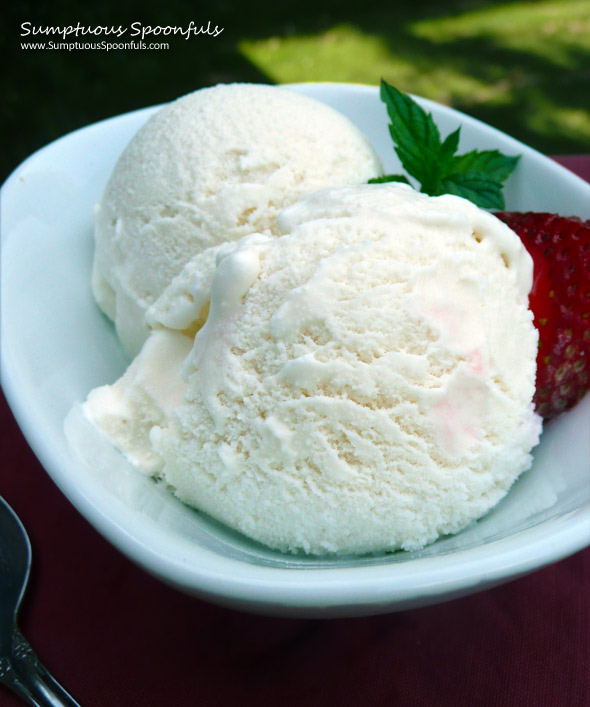 Fresh & Simple Vanilla Ice Cream + 11 MORE delicious ice cream recipes ~ Sumptuous Spoonfuls #ice cream #recipe