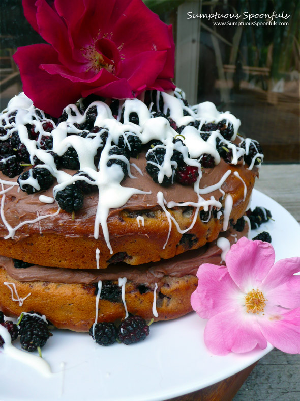 Mulberry Cake with Chocolate Mascarpone & a White Chocolate Drizzle ~ Sumptuous Spoonfuls #cake #recipe