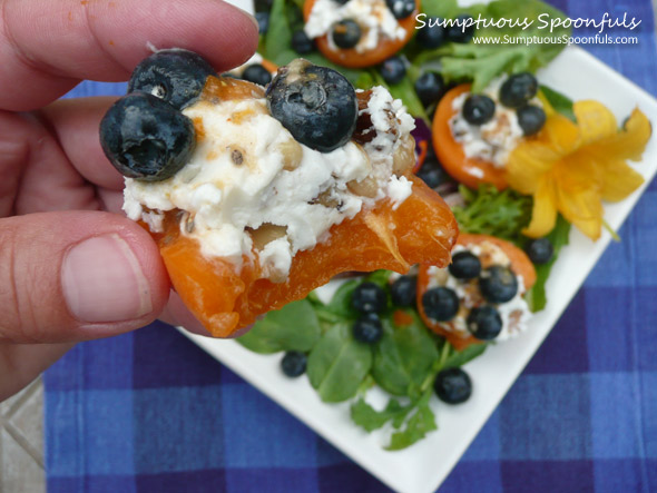 Honey Walnut Goat Cheese Apricots with Blueberries ~ Sumptuous Spoonfuls #apricot #cheese #recipe