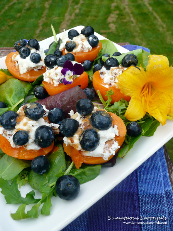 Honey Walnut Goat Cheese Apricots with Blueberries ~ Sumptuous Spoonfuls #apricot #cheese #recipe