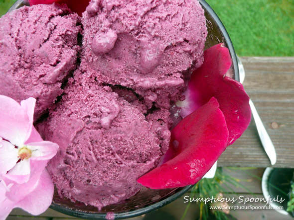 Lemon Berry Sherbet