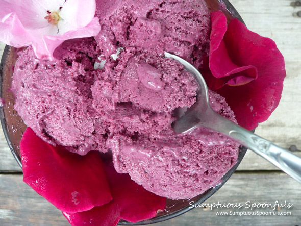 Lemon Berry Sherbet ~ Sumptuous Spoonfuls #sherbet #recipe