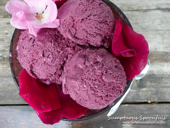 Lemon Berry Sherbet ~ Sumptuous Spoonfuls #sherbet #recipe