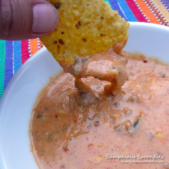 Mexican Queso Dip Supreme ~ Sumptuous Spoonfuls #dip #recipe