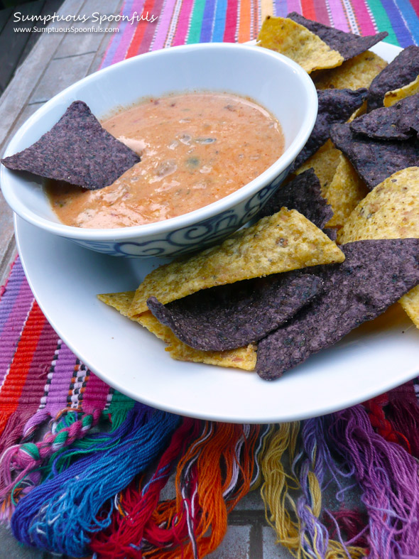 Mexican Queso Dip Supreme ~ Sumptuous Spoonfuls #dip #recipe
