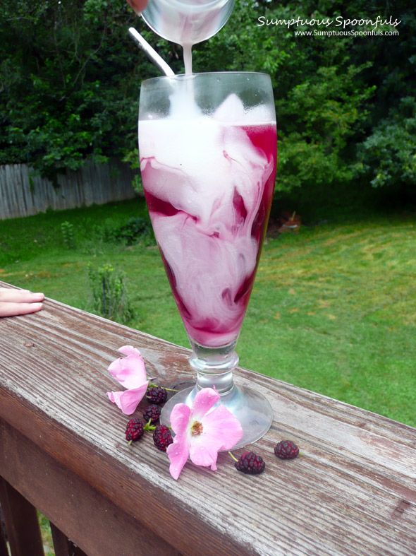 Mulberry Maple Rose Cream Sodas ~ Sumptuous Spoonfus #summer #drink #recipe