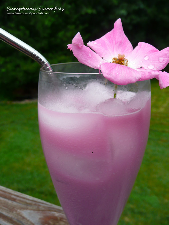 Mulberry Maple Rose Cream Sodas ~ Sumptuous Spoonfus #summer #drink #recipe