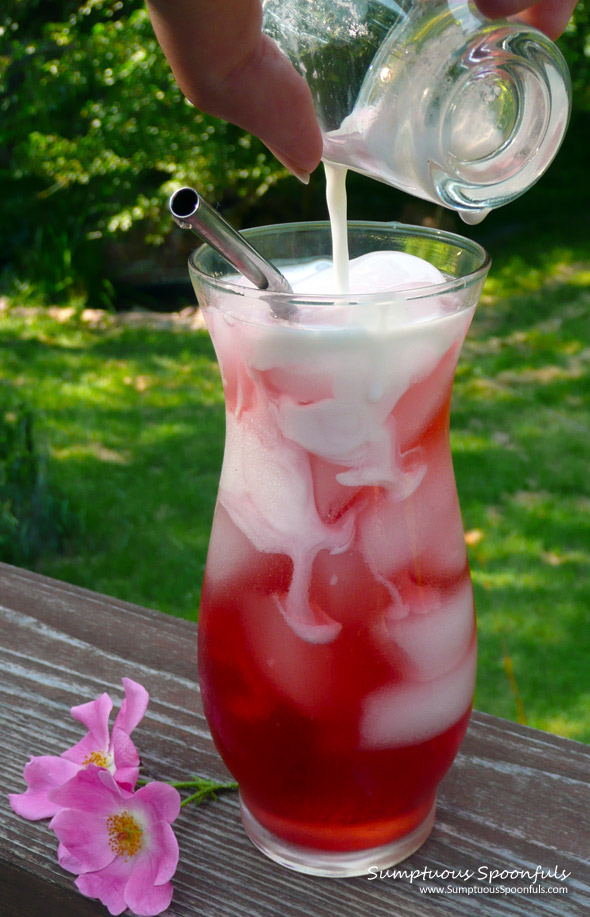 Strawberry Rose Italian Cream Sodas ~ Sumptuous Spoonfuls #Cream #Soda #Recipe