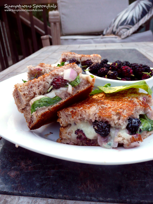 Swiss Berry Blue Grilled Cheese Sandwiches ~ Sumptuous Spoonfuls #grilled cheese #sandwich