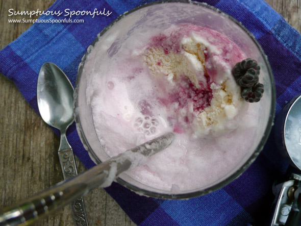 Homemade Purple Cow Ice Cream Float ~ Sumptuous Spoonfuls #drink #recipe