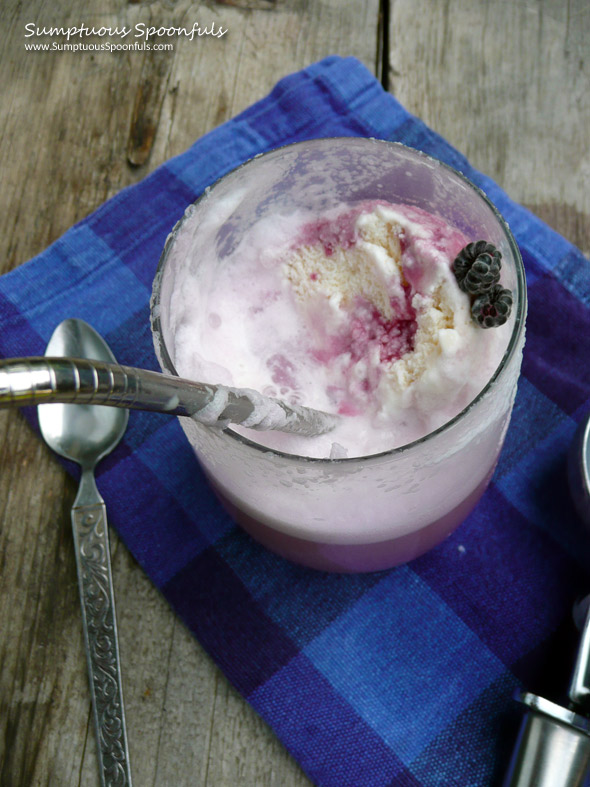 Homemade Purple Cow Ice Cream Float ~ Sumptuous Spoonfuls #drink #recipe