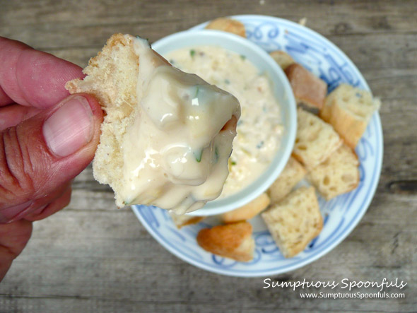 Super Simple Cheesy Chicken Artichoke Dip ~ Sumptuous Spoonfuls #dip #recipe