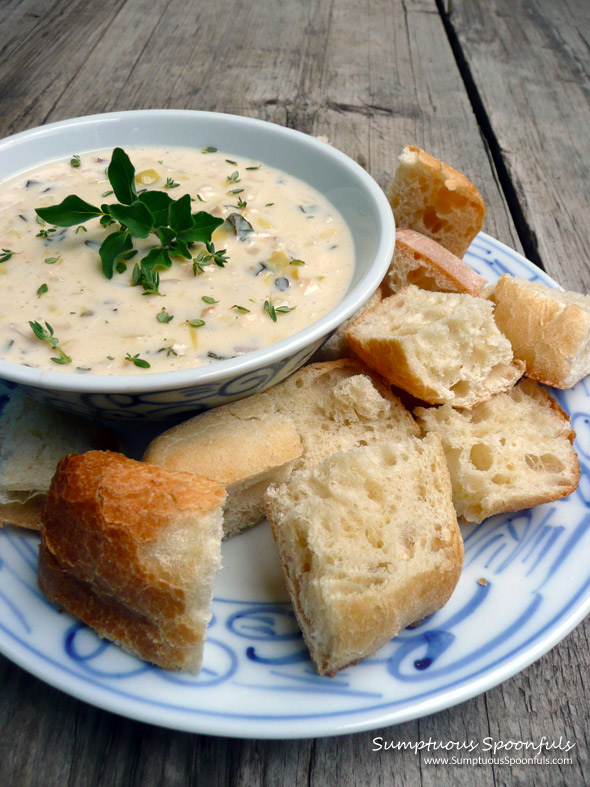 Super Simple Cheesy Chicken Artichoke Dip ~ Sumptuous Spoonfuls #dip #recipe