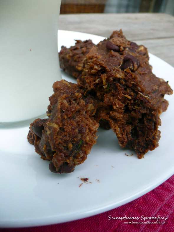 Double Chocolate Oatmeal Zucchini Cookies ~ Sumptuous Spoonfuls #cookie #recipe