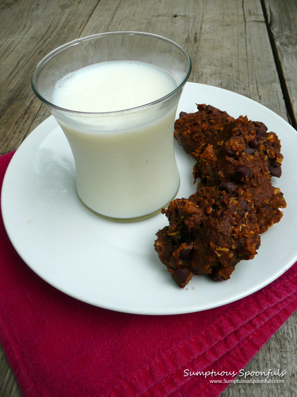 Double Chocolate Oatmeal Zucchini Cookies ~ Sumptuous Spoonfuls #cookie #recipe