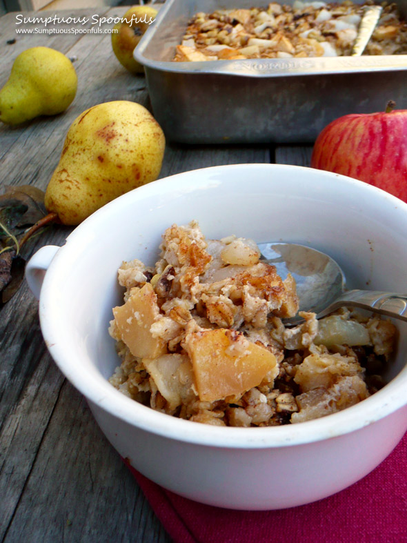 Ginger Apple Pear Crisp Baked Oatmeal ~ Sumptuous Spoonfuls #baked #oatmeal #recipe
