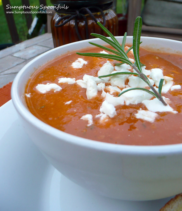 Roasted Eggplant & Tomato Soup with Fresh Herbs & Goat Cheese ~ Sumptuous Spoonfuls #tomato #soup #recipe