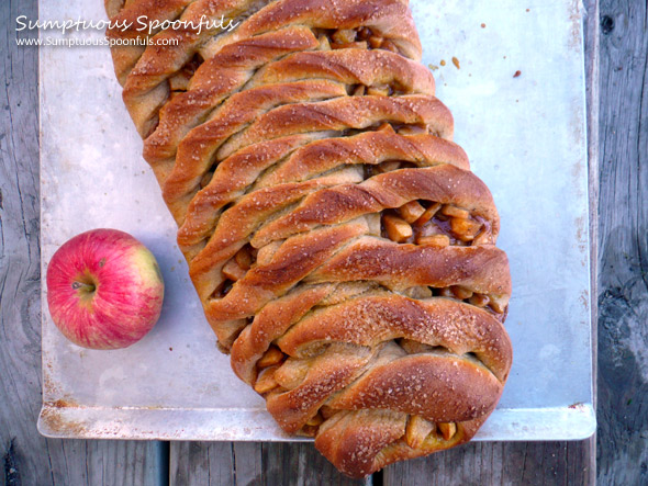 Twisted Apple Braid ~ Sumptuous Spoonfuls #apple #recipe