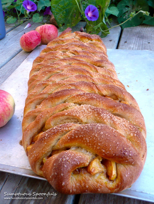 Twisted Apple Braid ~ Sumptuous Spoonfuls #apple #recipe