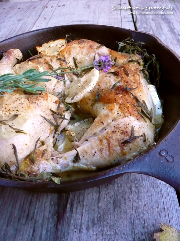 Honey Lemon Lavender Chicken ~ Sumptuous Spoonfuls #chicken #recipe