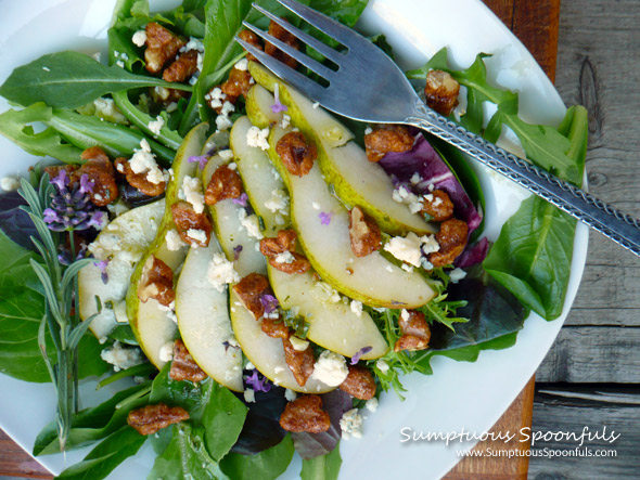 Pear, Blue Cheese & Candied Walnut Salad with Lavender Vinaigrette ~ Sumptuous Spoonfuls #salad #recipe