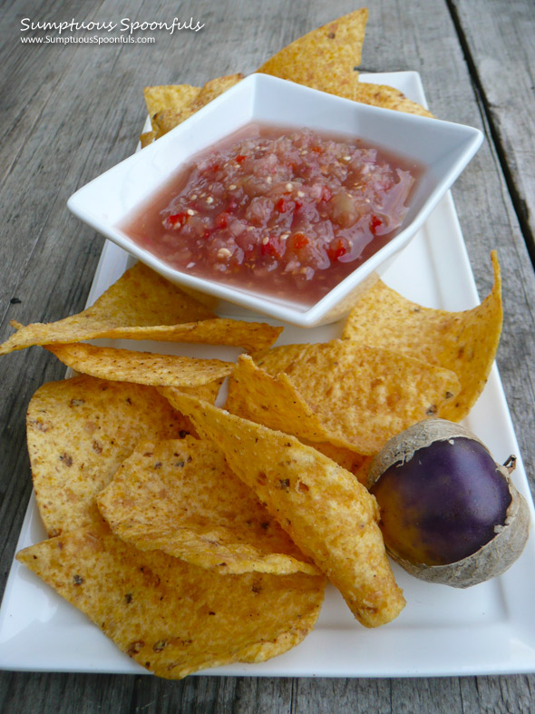 Purple Tomatillo Salsa Fresca ~ Sumptuous Spoonfuls #salsa #recipe