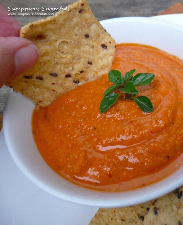 Smoky Spanish Romesco Sauce ~ Sumptuous Spoonfuls #sauce #recipe