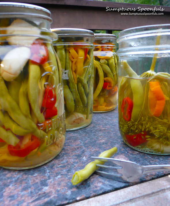 Crisp & Spicy Pickled Green Beans ~ Sumptuous Spoonfuls #pickle #recipe