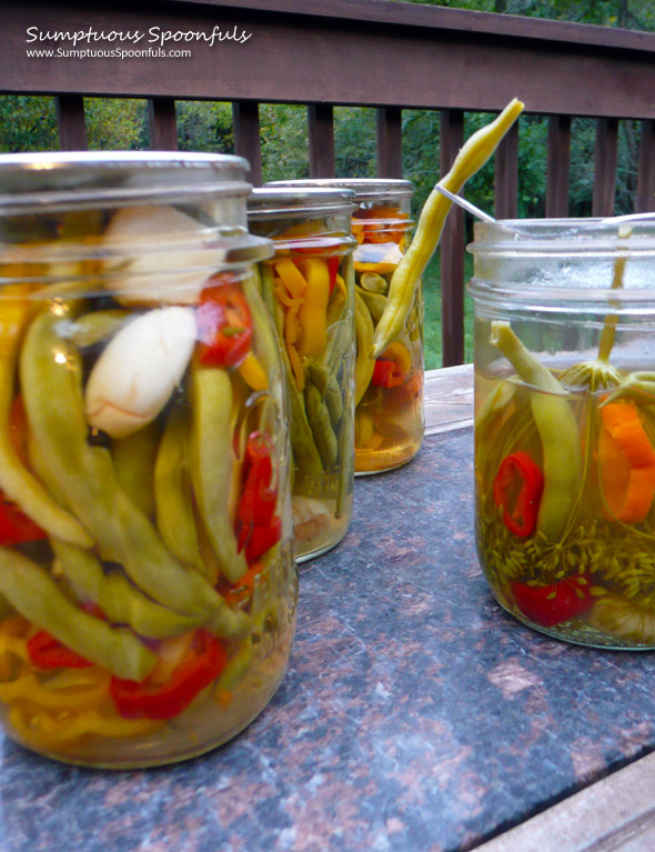 Crisp & Spicy Pickled Green Beans ~ Sumptuous Spoonfuls #pickle #recipe