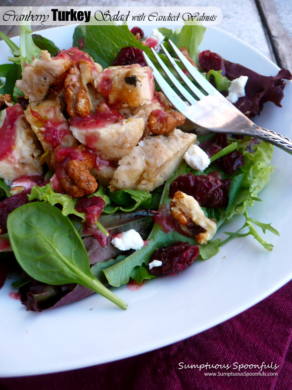 Cranberry Turkey Salad with Goat Cheese & Candied Walnuts ~ Sumptuous Spoonfuls #salad #recipe