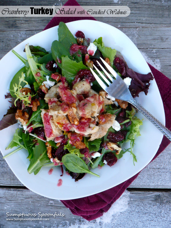 Cranberry Turkey Salad with Goat Cheese & Candied Walnuts ~ Sumptuous Spoonfuls #salad #recipe