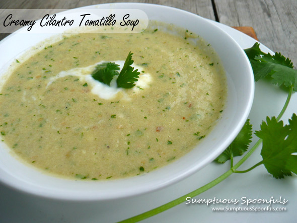 Creamy Cilantro Tomatillo Soup ~ Sumptuous Spoonfuls #soup #recipe