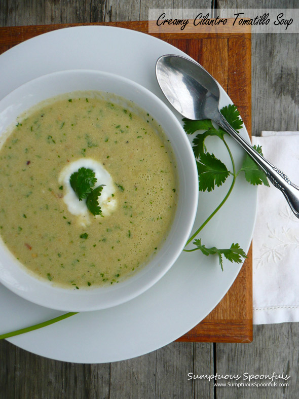 Creamy Cilantro Tomatillo Soup ~ Sumptuous Spoonfuls #soup #recipe