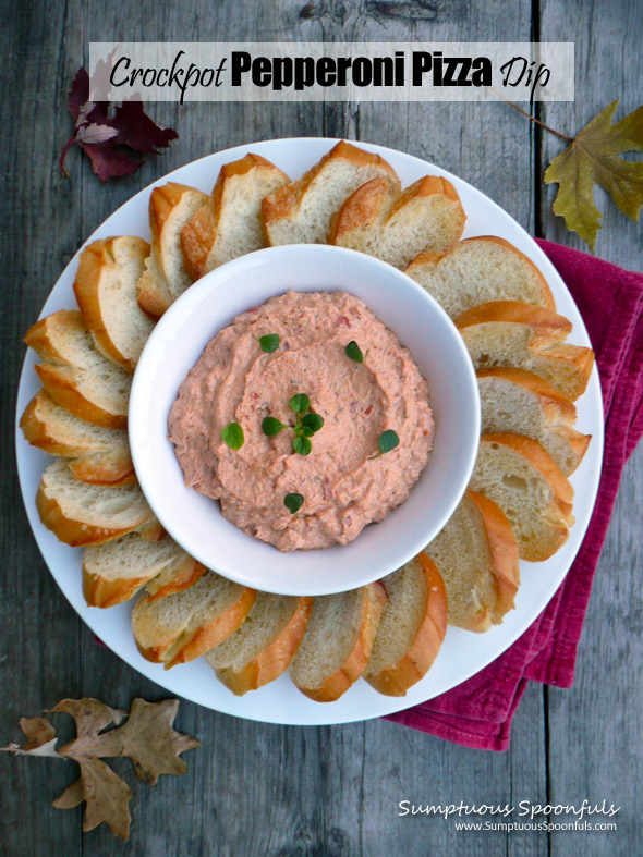 Crock Pot Pizza Dip