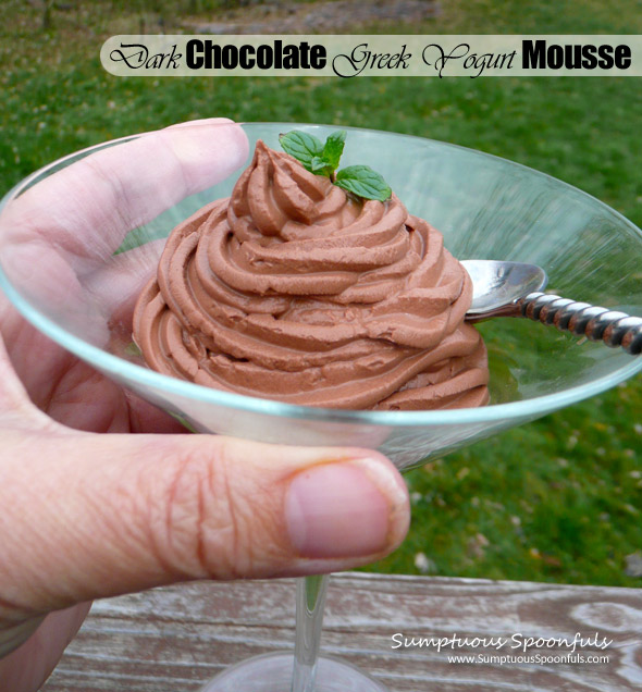 Dark Chocolate Greek Yogurt Mousse ~ Sumptuous Spoonfuls #chocolate #mousse #recipe