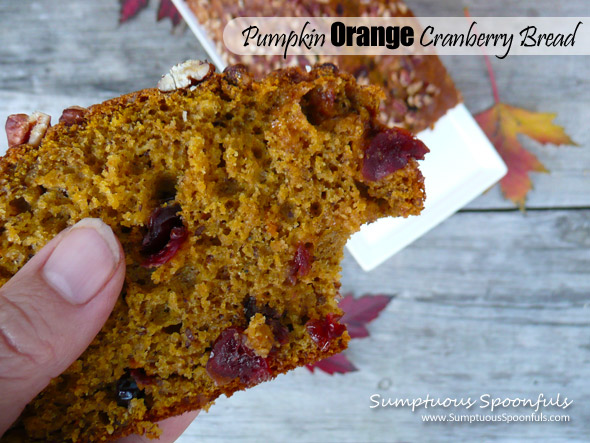 Pumpkin Orange Cranberry Bread ~ Sumptuous Spoonfuls #quickbread #recipe